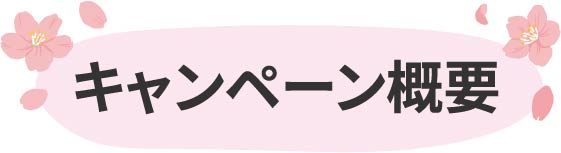 キャンペーン概要